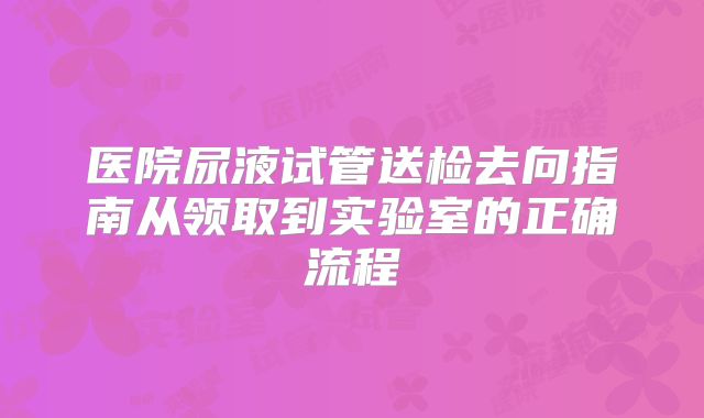 医院尿液试管送检去向指南从领取到实验室的正确流程