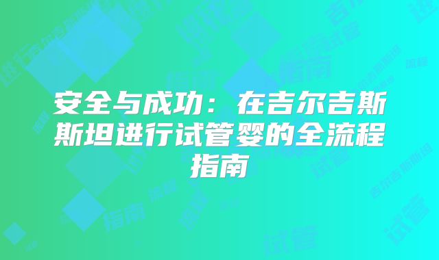 安全与成功：在吉尔吉斯斯坦进行试管婴的全流程指南