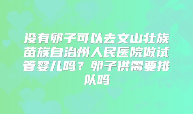 没有卵子可以去文山壮族苗族自治州人民医院做试管婴儿吗?卵子供需要排队吗