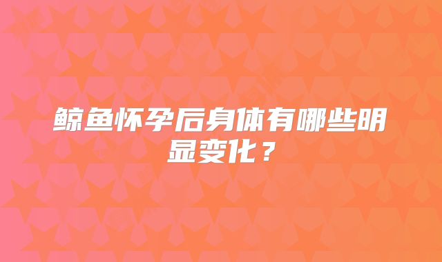 鲸鱼怀孕后身体有哪些明显变化?