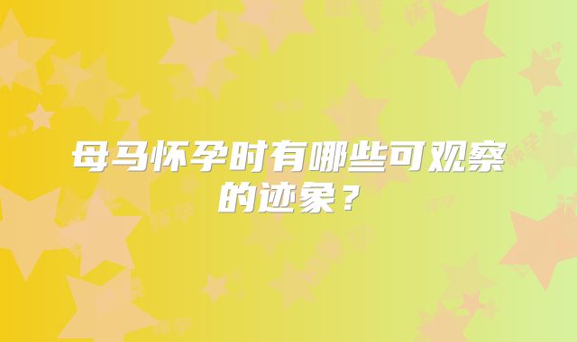 母马怀孕时有哪些可观察的迹象?