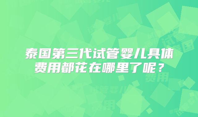 泰国第三代试管婴儿具体费用都花在哪里了呢？