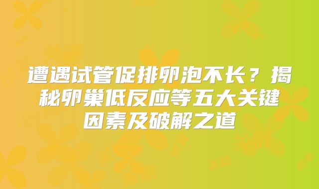遭遇试管促排卵泡不长？揭秘卵巢低反应等五大关键因素及破解之道