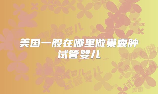 美国一般在哪里做巢囊肿试管婴儿
