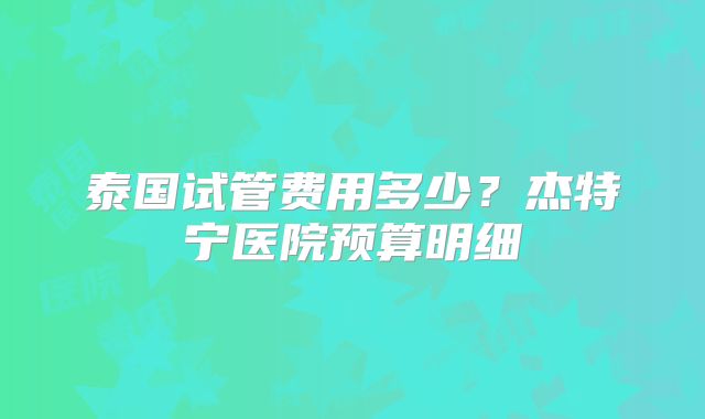 泰国试管费用多少?杰特宁医院预算明细