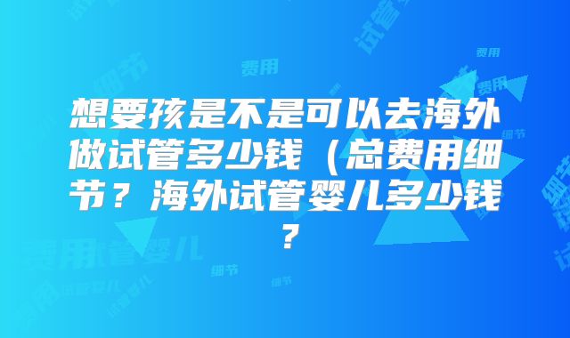 想要孩是不是可以去海外做试管多少钱（总费用细节？海外试管婴儿多少钱？