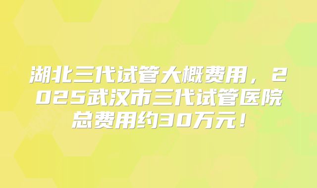 湖北三代试管大概费用，2025武汉市三代试管医院总费用约30万元！