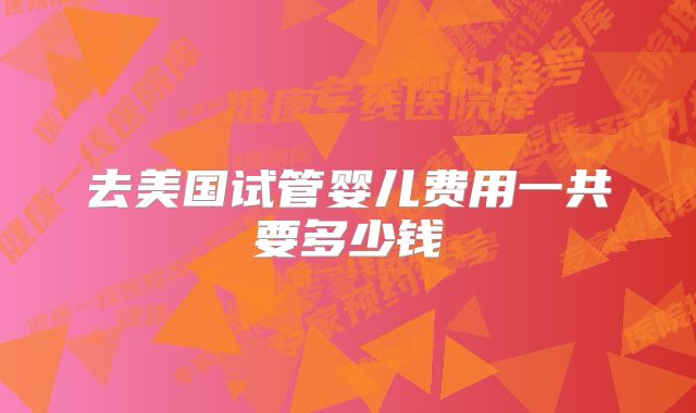 去美国试管婴儿费用一共要多少钱