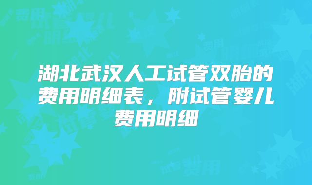 湖北武汉人工试管双胎的费用明细表，附试管婴儿费用明细