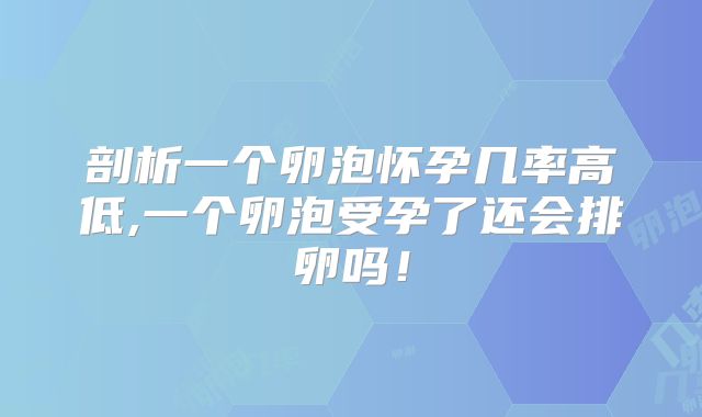 剖析一个卵泡怀孕几率高低,一个卵泡受孕了还会排卵吗！