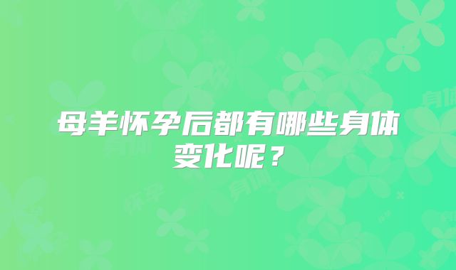 母羊怀孕后都有哪些身体变化呢?