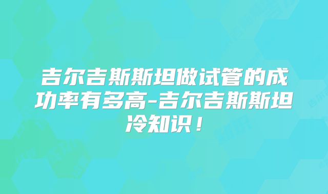 吉尔吉斯斯坦做试管的成功率有多高-吉尔吉斯斯坦冷知识！