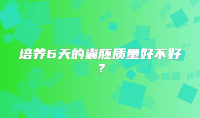 培养6天的囊胚质量好不好？