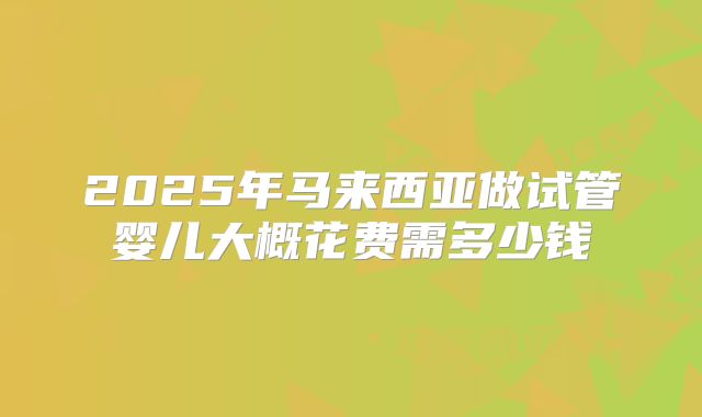2025年马来西亚做试管婴儿大概花费需多少钱