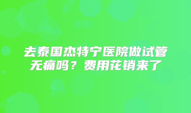 去泰国杰特宁医院做试管无痛吗？费用花销来了