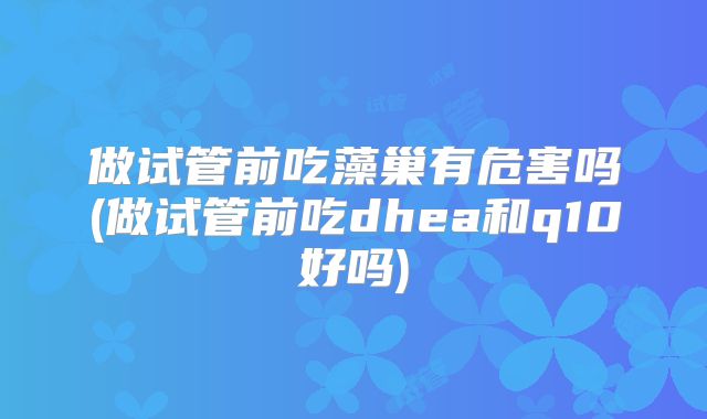 做试管前吃藻巢有危害吗(做试管前吃dhea和q10好吗)