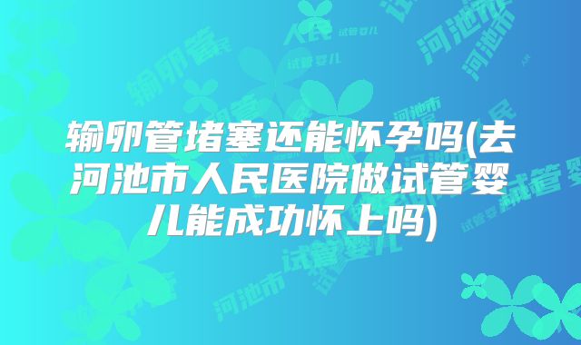输卵管堵塞还能怀孕吗(去河池市人民医院做试管婴儿能成功怀上吗)