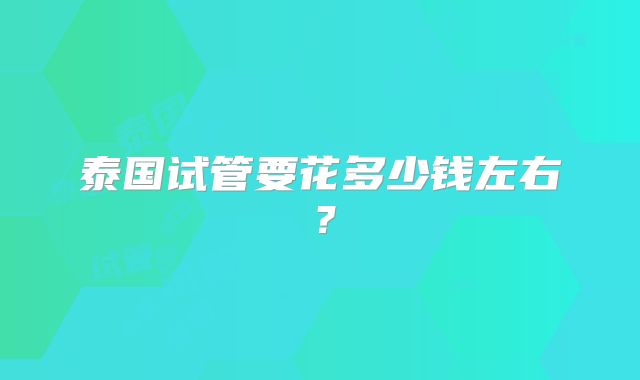 泰国试管要花多少钱左右？