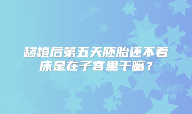 移植后第五天胚胎还不着床是在子宫里干嘛？
