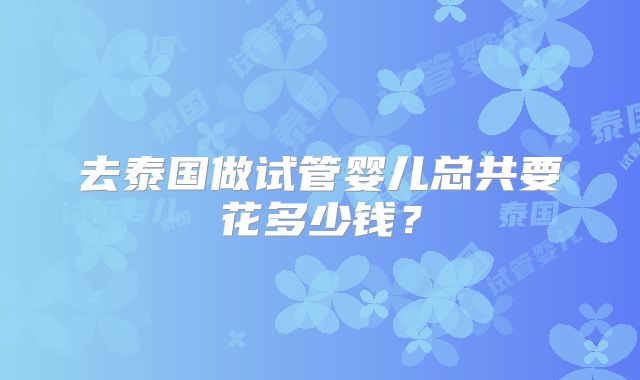去泰国做试管婴儿总共要花多少钱？