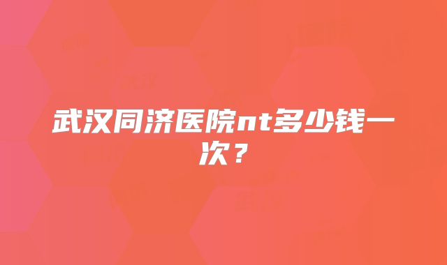 武汉同济医院nt多少钱一次?