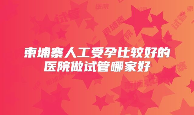 柬埔寨人工受孕比较好的医院做试管哪家好