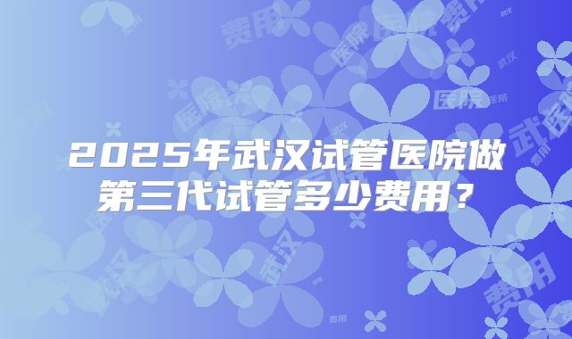 2025年武汉试管医院做第三代试管多少费用？