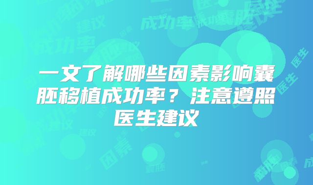 一文了解哪些因素影响囊胚移植成功率？注意遵照医生建议