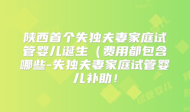 陕西首个失独夫妻家庭试管婴儿诞生（费用都包含哪些-失独夫妻家庭试管婴儿补助！