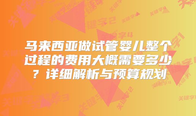 马来西亚做试管婴儿整个过程的费用大概需要多少？详细解析与预算规划