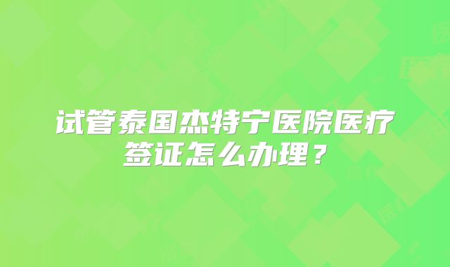 试管泰国杰特宁医院医疗签证怎么办理？