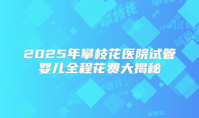 2025年攀枝花医院试管婴儿全程花费大揭秘