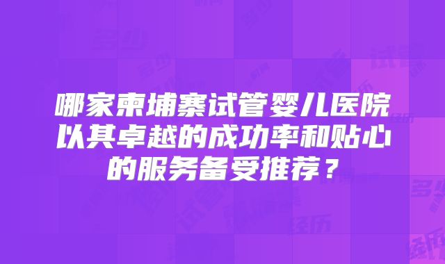 哪家柬埔寨试管婴儿医院以其卓越的成功率和贴心的服务备受推荐？