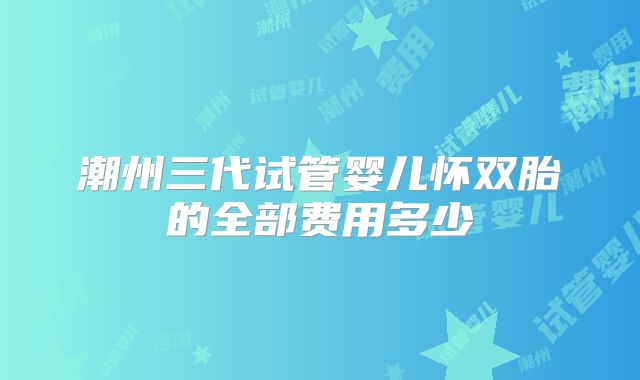 潮州三代试管婴儿怀双胎的全部费用多少