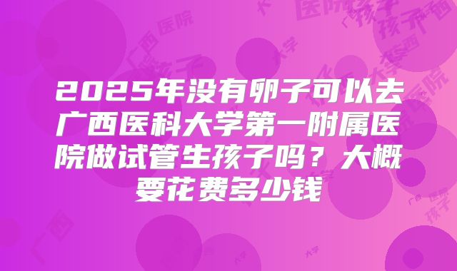 2025年没有卵子可以去广西医科大学第一附属医院做试管生孩子吗？大概要花费多少钱