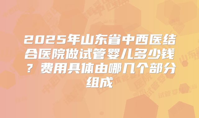 2025年山东省中西医结合医院做试管婴儿多少钱?费用具体由哪几个部分组成