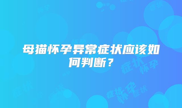 母猫怀孕异常症状应该如何判断?