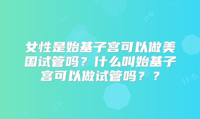女性是始基子宫可以做美国试管吗？什么叫始基子宫可以做试管吗？？