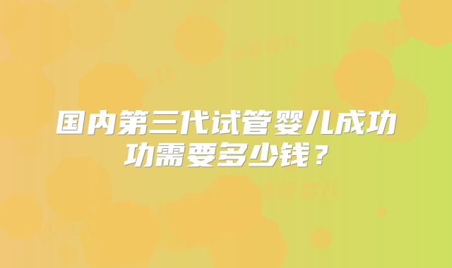 国内第三代试管婴儿成功功需要多少钱？