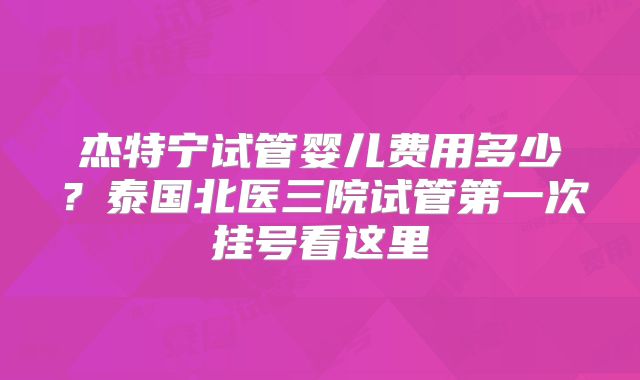杰特宁试管婴儿费用多少？泰国北医三院试管第一次挂号看这里