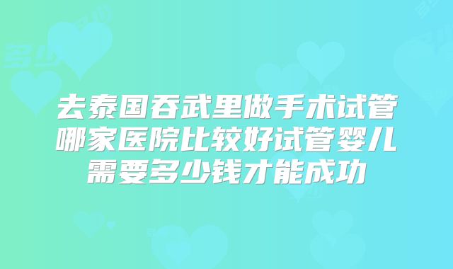 去泰国吞武里做手术试管哪家医院比较好试管婴儿需要多少钱才能成功