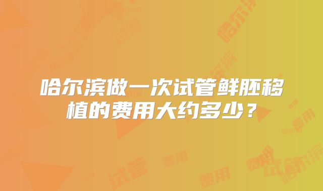 哈尔滨做一次试管鲜胚移植的费用大约多少?