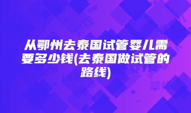 从鄂州去泰国试管婴儿需要多少钱(去泰国做试管的路线)