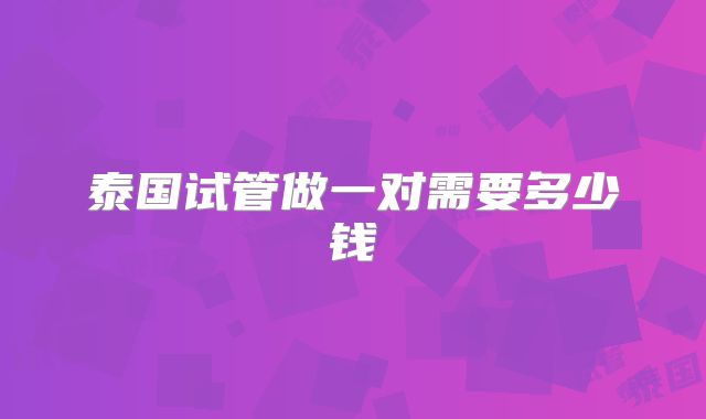 泰国试管做一对需要多少钱