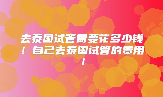 去泰国试管需要花多少钱！自己去泰国试管的费用！
