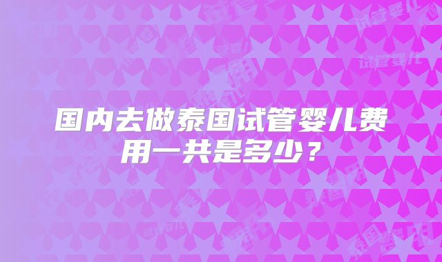 国内去做泰国试管婴儿费用一共是多少？
