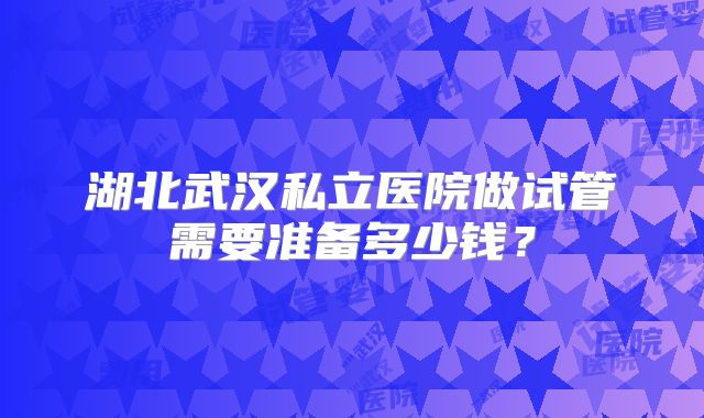 湖北武汉私立医院做试管需要准备多少钱？