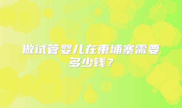 做试管婴儿在柬埔寨需要多少钱?