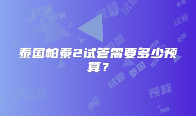 泰国帕泰2试管需要多少预算？