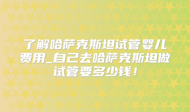 了解哈萨克斯坦试管婴儿费用_自己去哈萨克斯坦做试管要多少钱！